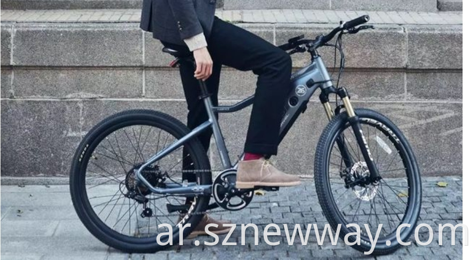 Himo Electric Bike